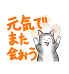 中高年ねこ でか文字版（個別スタンプ：36）