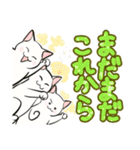 中高年ねこ でか文字版（個別スタンプ：39）