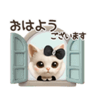 毎日ずっ〜と使える★愛猫のご挨拶【3D】（個別スタンプ：5）