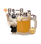 毎日ずっ〜と使える★愛猫のご挨拶【3D】（個別スタンプ：11）