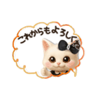 毎日ずっ〜と使える★愛猫のご挨拶【3D】（個別スタンプ：14）