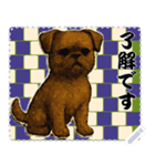 犬の メッセージ スタンプ 137（個別スタンプ：2）