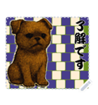 犬の メッセージ スタンプ 137（個別スタンプ：7）