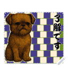 犬の メッセージ スタンプ 137（個別スタンプ：11）