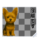 犬の メッセージ スタンプ 61（個別スタンプ：1）
