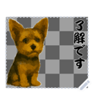 犬の メッセージ スタンプ 61（個別スタンプ：3）