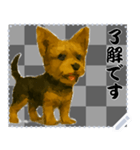 犬の メッセージ スタンプ 61（個別スタンプ：5）