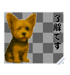 犬の メッセージ スタンプ 61（個別スタンプ：7）