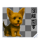 犬の メッセージ スタンプ 61（個別スタンプ：10）