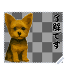 犬の メッセージ スタンプ 61（個別スタンプ：12）