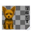 犬の メッセージ スタンプ 61（個別スタンプ：15）
