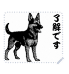 犬の メッセージ スタンプ 41（個別スタンプ：1）
