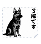 犬の メッセージ スタンプ 41（個別スタンプ：2）