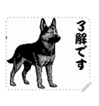 犬の メッセージ スタンプ 41（個別スタンプ：3）