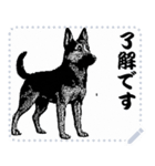 犬の メッセージ スタンプ 41（個別スタンプ：4）