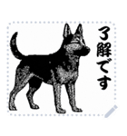 犬の メッセージ スタンプ 41（個別スタンプ：5）