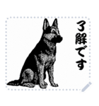 犬の メッセージ スタンプ 41（個別スタンプ：7）