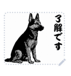 犬の メッセージ スタンプ 41（個別スタンプ：8）