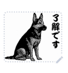 犬の メッセージ スタンプ 41（個別スタンプ：10）