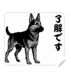 犬の メッセージ スタンプ 41（個別スタンプ：11）