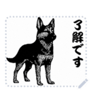 犬の メッセージ スタンプ 41（個別スタンプ：12）