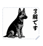 犬の メッセージ スタンプ 41（個別スタンプ：13）