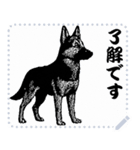 犬の メッセージ スタンプ 41（個別スタンプ：14）
