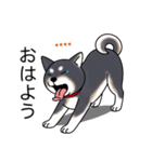 名前入り黒しば（個別スタンプ：2）