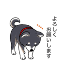 名前入り黒しば（個別スタンプ：4）