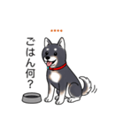 名前入り黒しば（個別スタンプ：10）