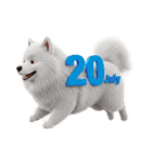 七月に使える犬のスタンプ3Dアニメ風（個別スタンプ：29）