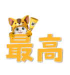 【3D】夏ずっと使える♪元気な虎ぽんにゃん（個別スタンプ：14）