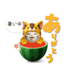 【3D】夏ずっと使える♪元気な虎ぽんにゃん（個別スタンプ：26）