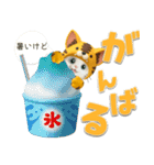 【3D】夏ずっと使える♪元気な虎ぽんにゃん（個別スタンプ：27）