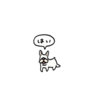フレンチブルドッグ(フキダシ)（個別スタンプ：3）