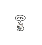 フレンチブルドッグ(フキダシ)（個別スタンプ：38）