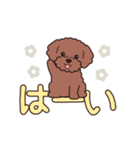 『トイプードル』毎日使えるデカ文字．1（個別スタンプ：2）