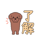 『トイプードル』毎日使えるデカ文字．1（個別スタンプ：3）