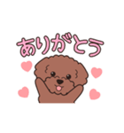 『トイプードル』毎日使えるデカ文字．1（個別スタンプ：5）
