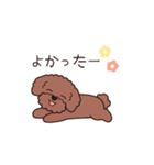 『トイプードル』毎日使えるデカ文字．1（個別スタンプ：6）
