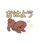 『トイプードル』毎日使えるデカ文字．1（個別スタンプ：13）