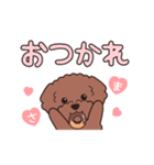 『トイプードル』毎日使えるデカ文字．1（個別スタンプ：15）