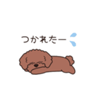『トイプードル』毎日使えるデカ文字．1（個別スタンプ：16）