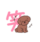 『トイプードル』毎日使えるデカ文字．1（個別スタンプ：18）