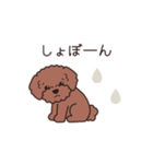 『トイプードル』毎日使えるデカ文字．1（個別スタンプ：23）