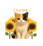 夏を楽しむ♪ぬいぐるみ三毛猫スタンプ（個別スタンプ：3）