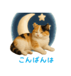 夏を楽しむ♪ぬいぐるみ三毛猫スタンプ（個別スタンプ：4）