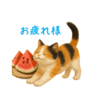 夏を楽しむ♪ぬいぐるみ三毛猫スタンプ（個別スタンプ：5）