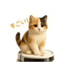 夏を楽しむ♪ぬいぐるみ三毛猫スタンプ（個別スタンプ：10）