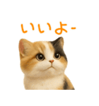 夏を楽しむ♪ぬいぐるみ三毛猫スタンプ（個別スタンプ：11）